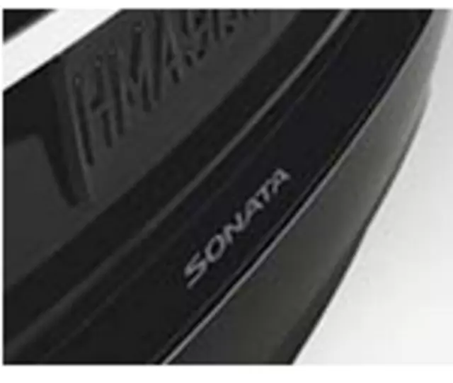 Rear Bumper Appliqu?