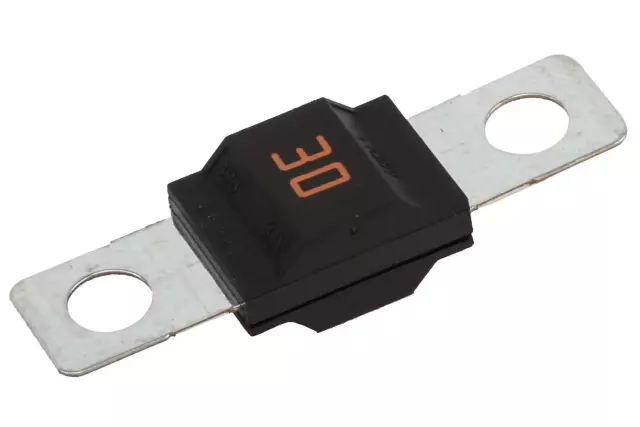 30 AMP Fuse