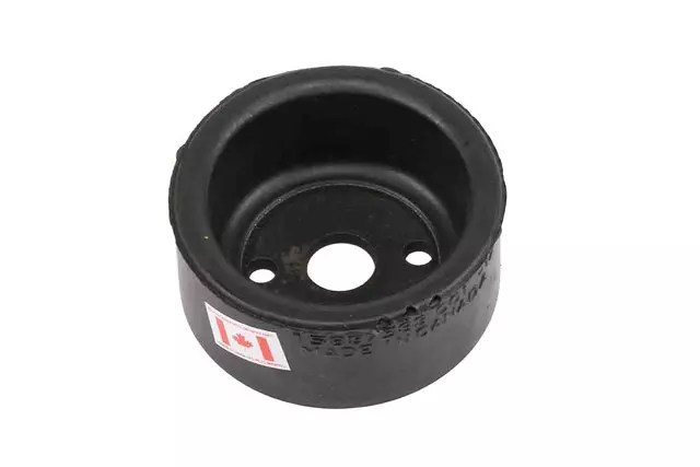 Body Mount Front Lower Cushion