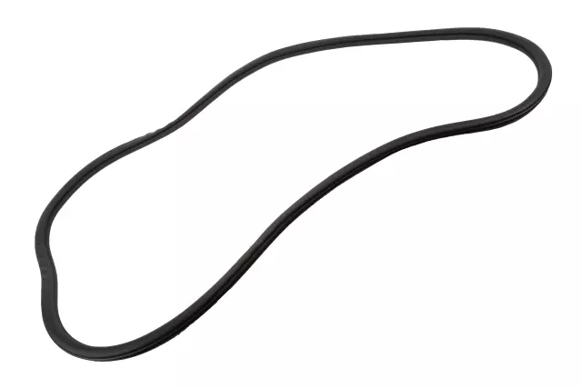 Rear Side Door Weatherstrip