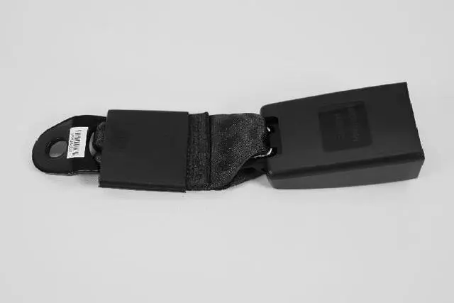 Rear Lap Buckle Seat Belt