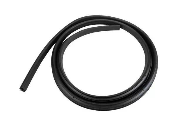 Rear Side Door Weatherstrip