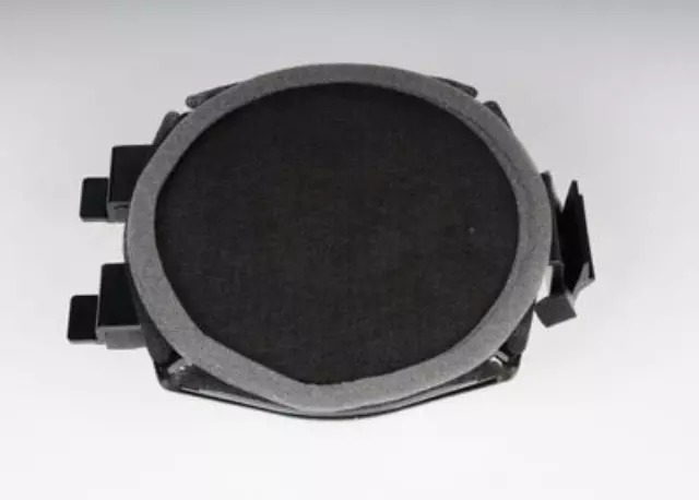 Front Door Radio Speaker