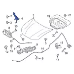 2021-2024 Ford Mustang Mach-E - Hinge