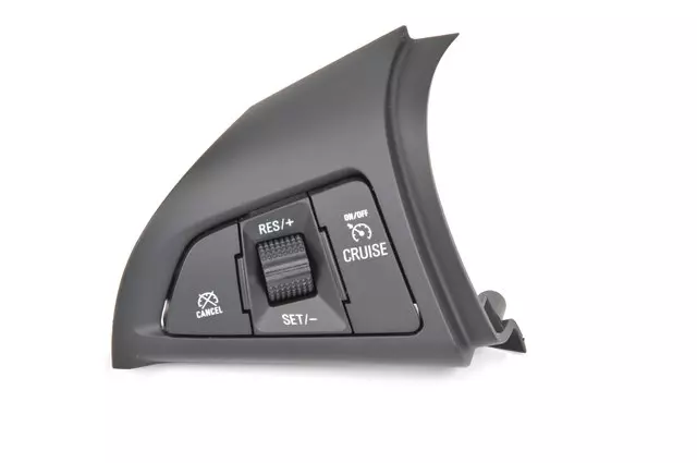 Black Cruise Control Switch