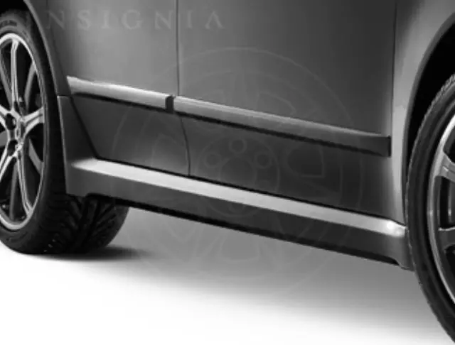 Body Side Molding - Graphite Luster Metallic