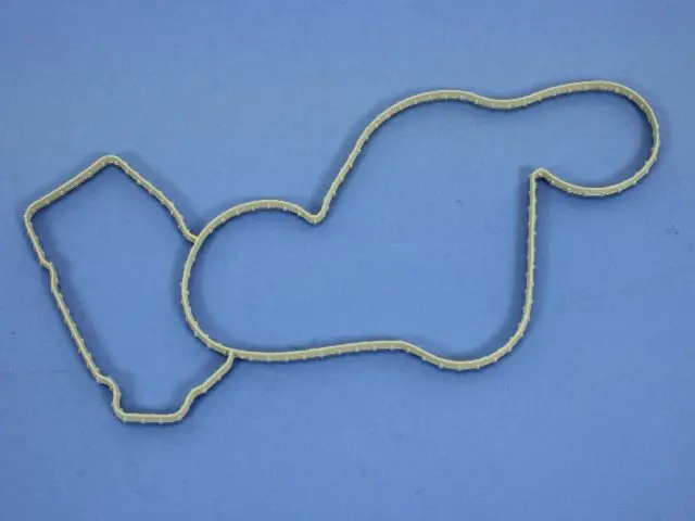 Water Pump Gasket