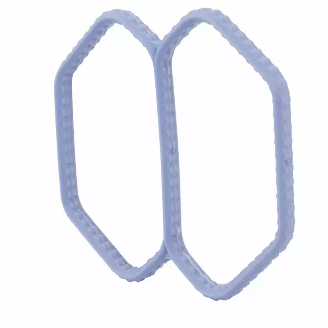 Fuel Injection Idle Air Control Valve Gasket