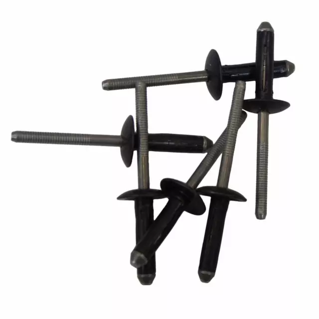 License Bracket Rivet