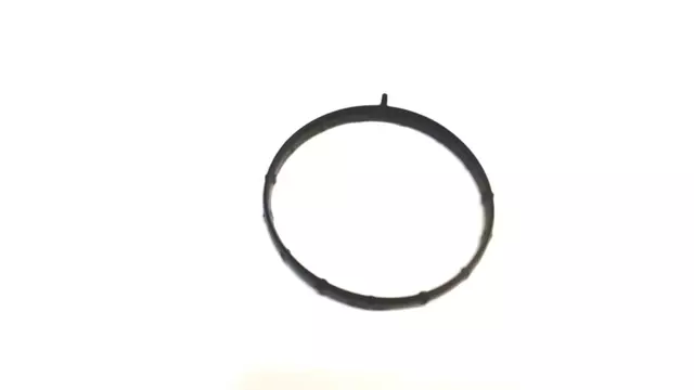 Fuel Injection Throttle Body Mounting Gasket