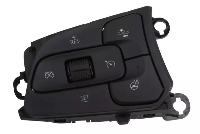 Black Cruise Control Switch