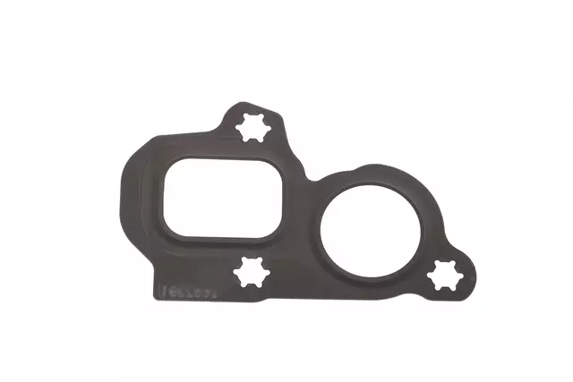 Water Pump Gasket