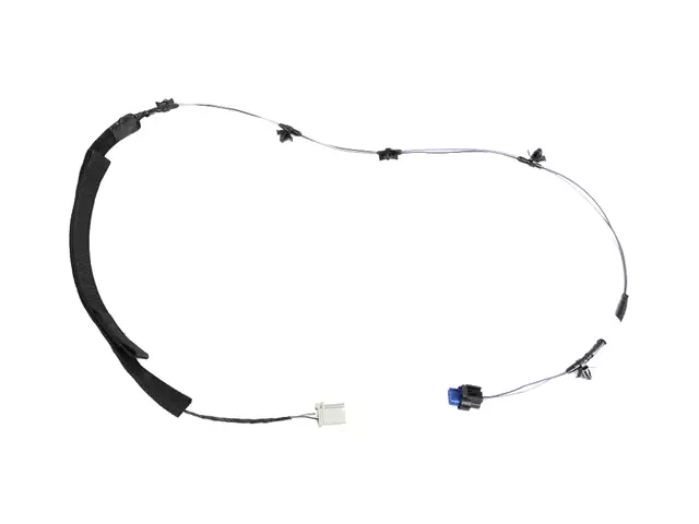 Rear Door Wiring, Right