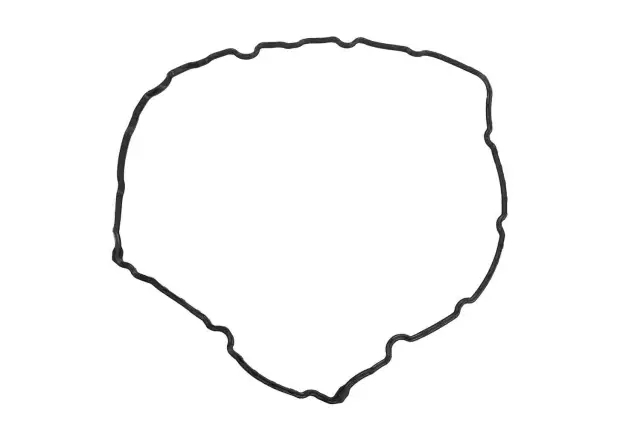 Driver Side Camshaft Cover Seal