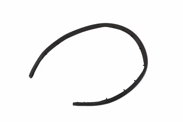 2020-2026 Buick Encore GX Front Weather-Strip 42664034 | Chevy