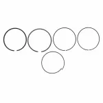 2013-2020 Ford - Piston Rings