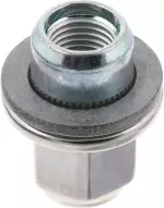 Wheel Nut