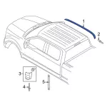 2017-2024 Ford - Roof Molding