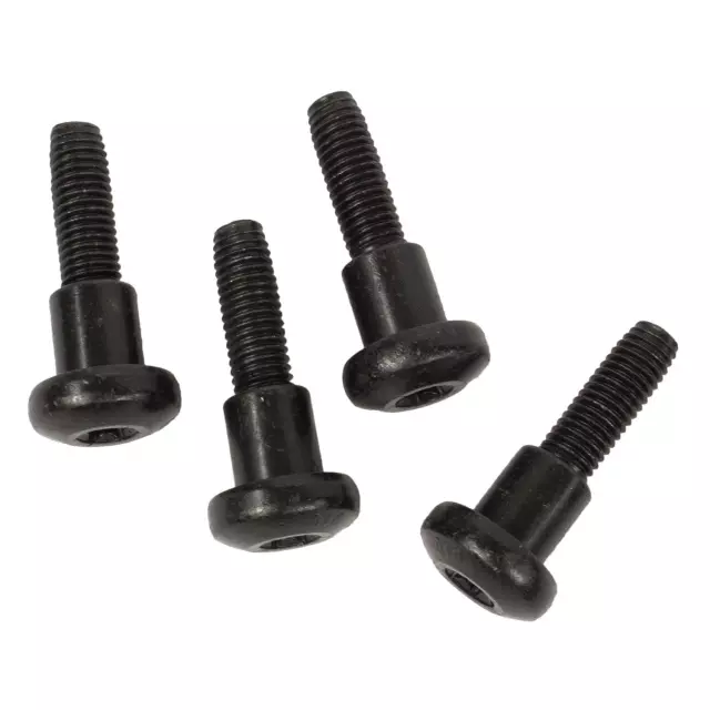 Center Buckle Screw