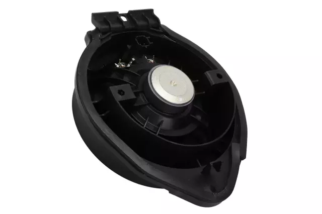 Radio Rear Side Door Speaker