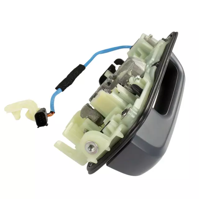 2017-2022 Ford Handle, Outside JC3Z-2522405-GDPTM | OEM Parts Online