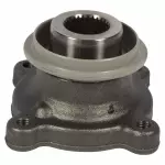 Companion Flange