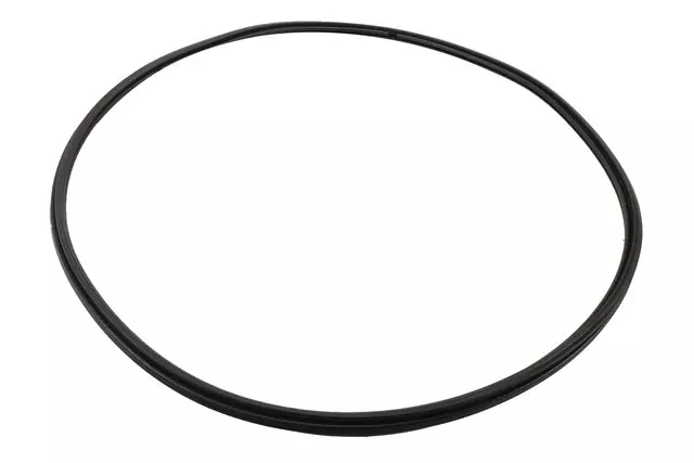 OEM NEW 1996-20 GM Chevrolet Rear Right Door Window Glass Weatherstrip 22888213