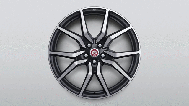 Alloy Wheel, 20 Inch Style 1041, 10 Spoke