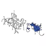 2020-2024 Ford Escape - Wire Harness