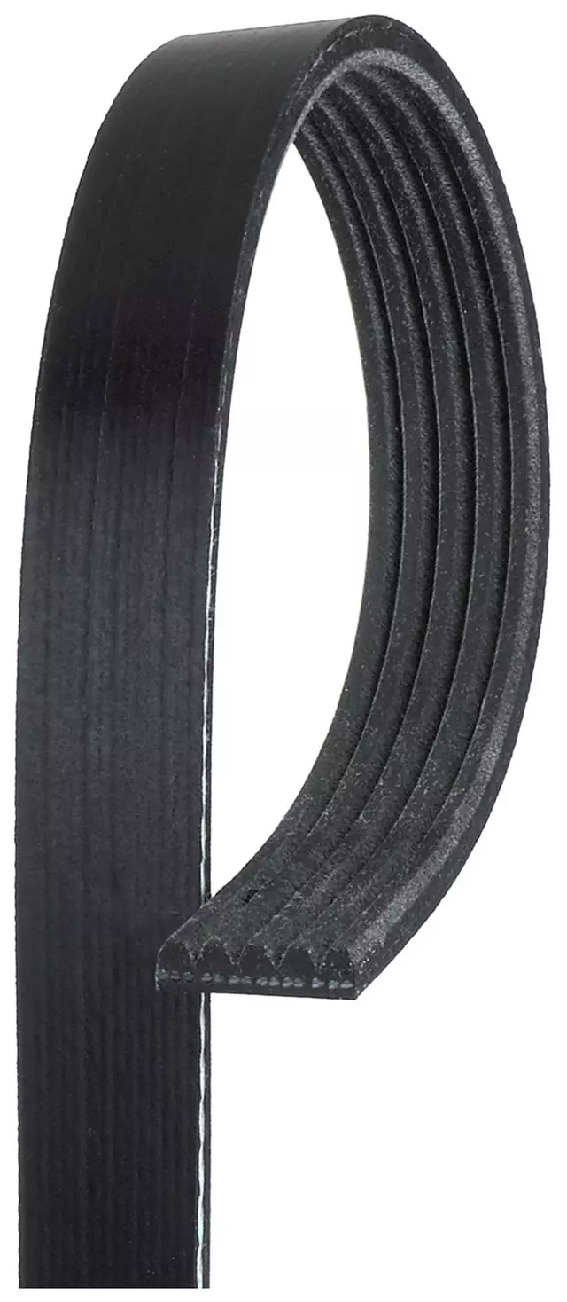 Standard V-Ribbed Serpentine Belt