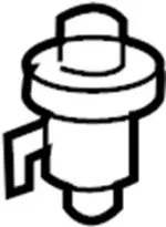 Fuel Injection Pressure Regulator