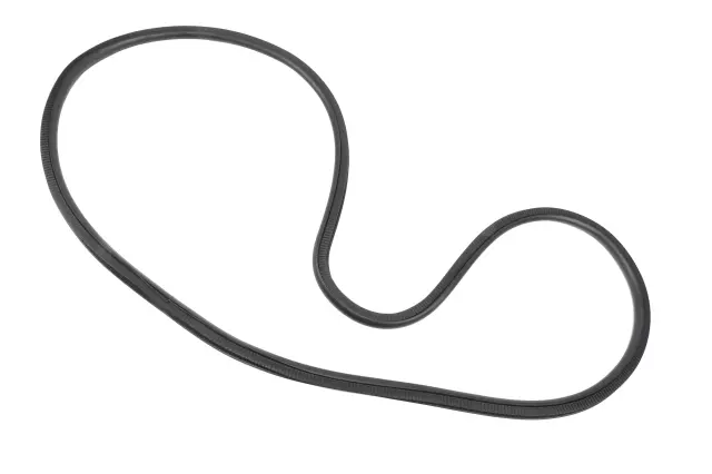 Weather-Strip On Body