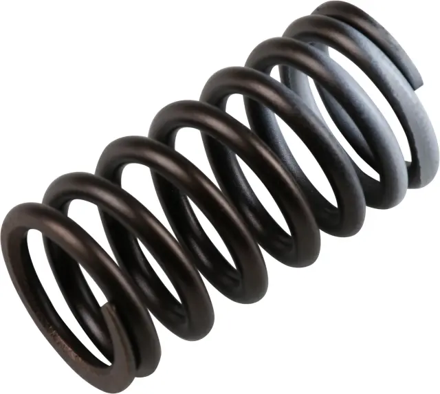 Valve Springs
