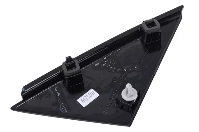 Passenger Side Door Applique