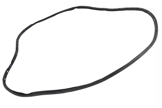 Front Driver Side Door Weatherstrip