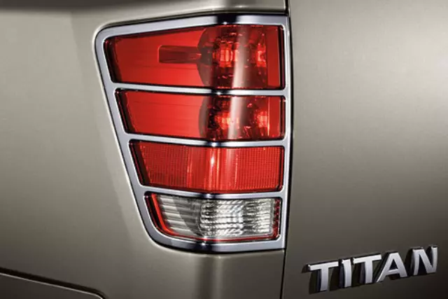 Taillight Guards (Black )