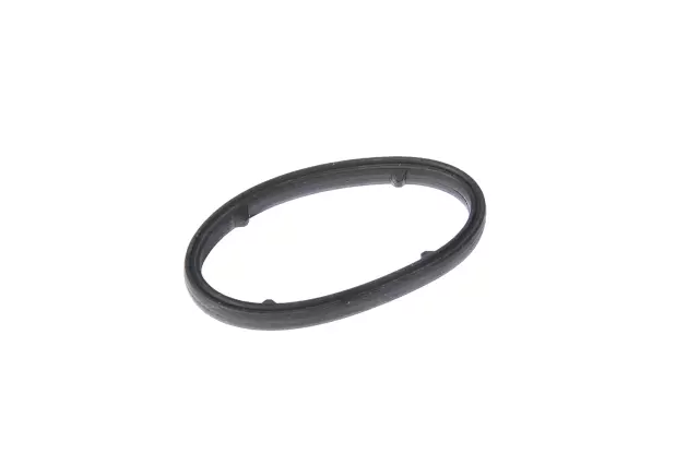 Engine Oil Cooler Seal