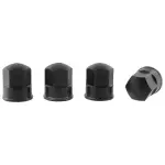 2015-2023 Ford - Striker Retainer Nut