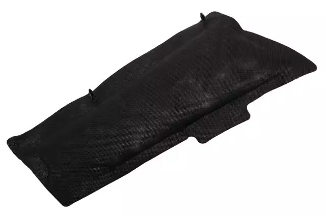 Rear Driver Side Door Insulator