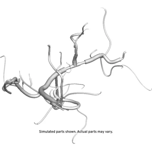 Engine Wiring Harness