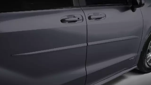 Body Side Molding, Gray Metallic