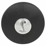 Driver Inflator Module