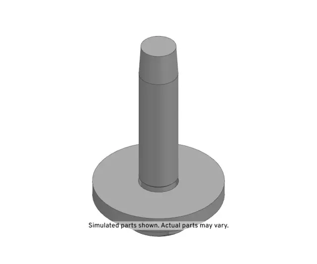 Fuel Tank Filler Pipe Bolt