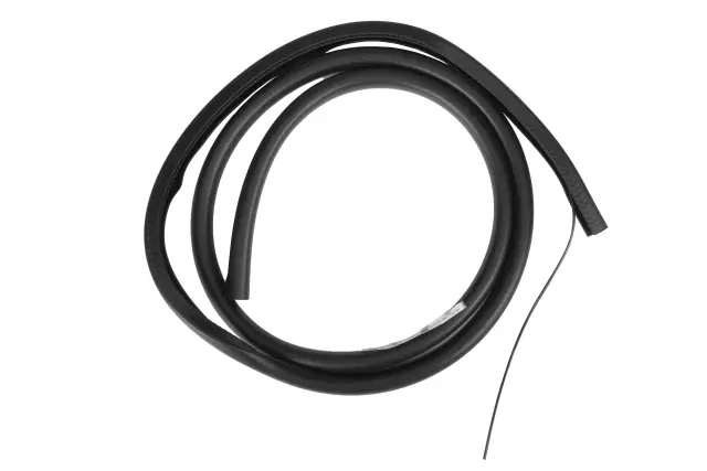 Jet Black Sunroof Opening Trim