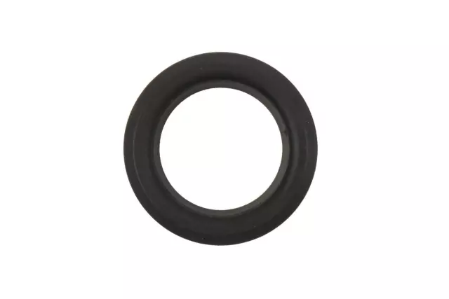 Engine Oil Seal