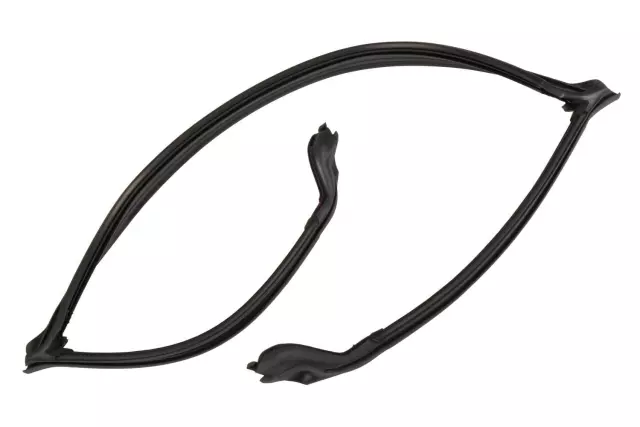 Windshield Frame Weatherstrip