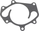 Water Pump Gasket