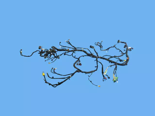 Instrument Panel Wiring