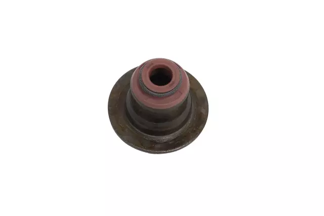 Valve Seals