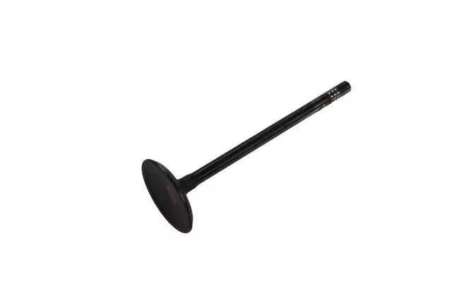 Engine Intake Valve